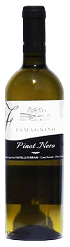 pinot nero vinificato bianco